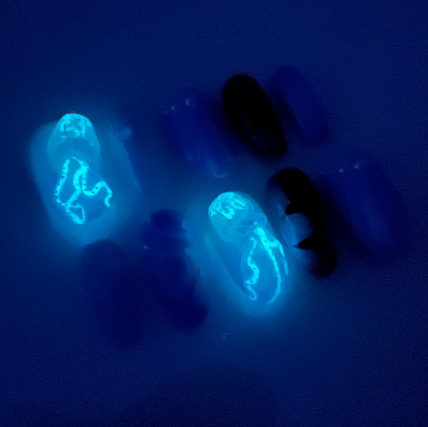 Ocean Glow