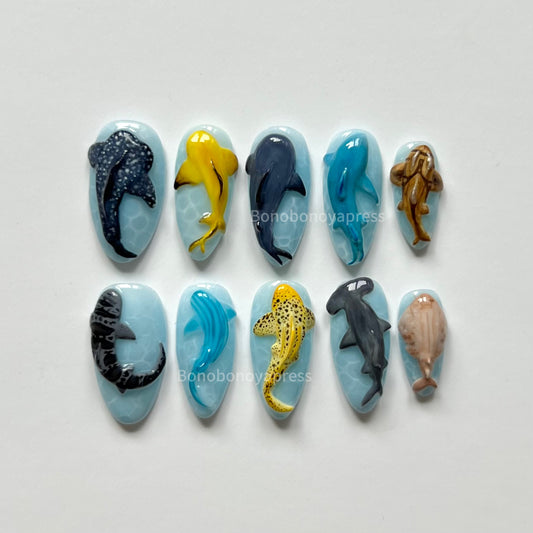 Sharkies