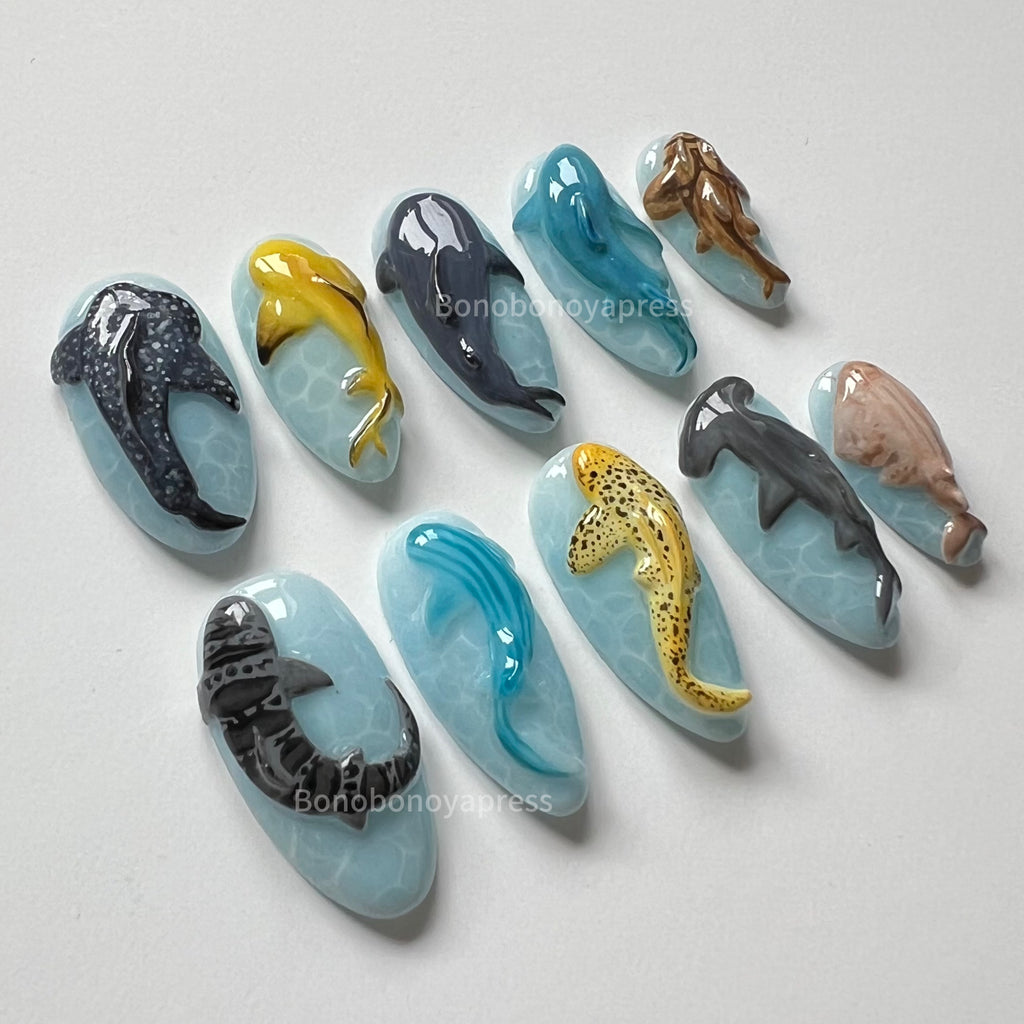 Sharkies